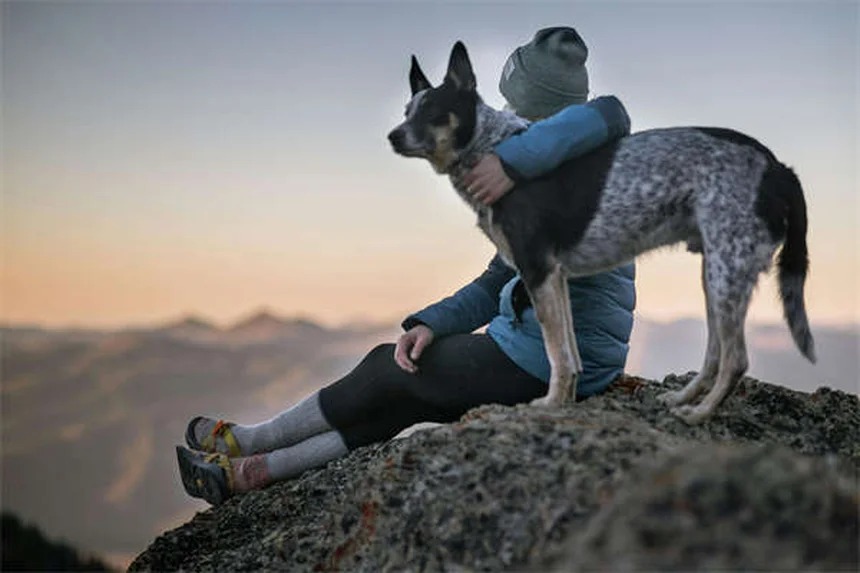 犬がリラックスする音楽とは？ストレス軽減に効果的な選び方